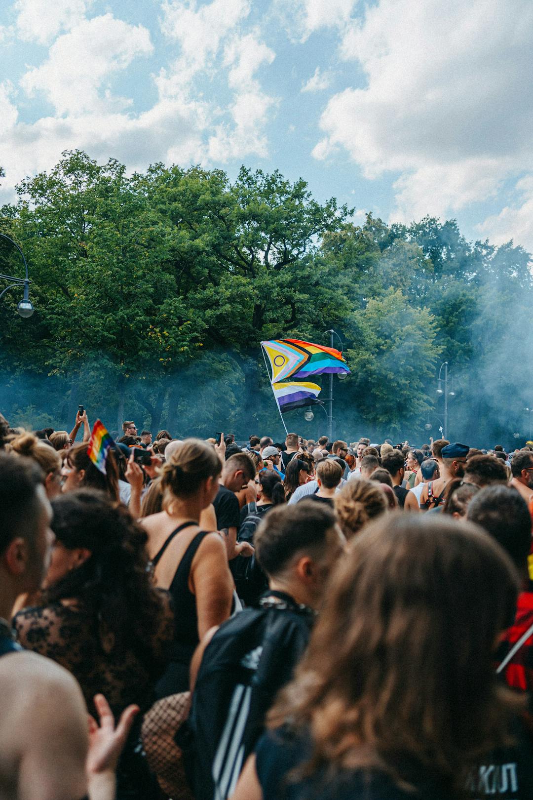 Picture of a Demonstration. The Pride Flag, Trans Flag, and the Flag of german Party 'Die Linke' is visible.